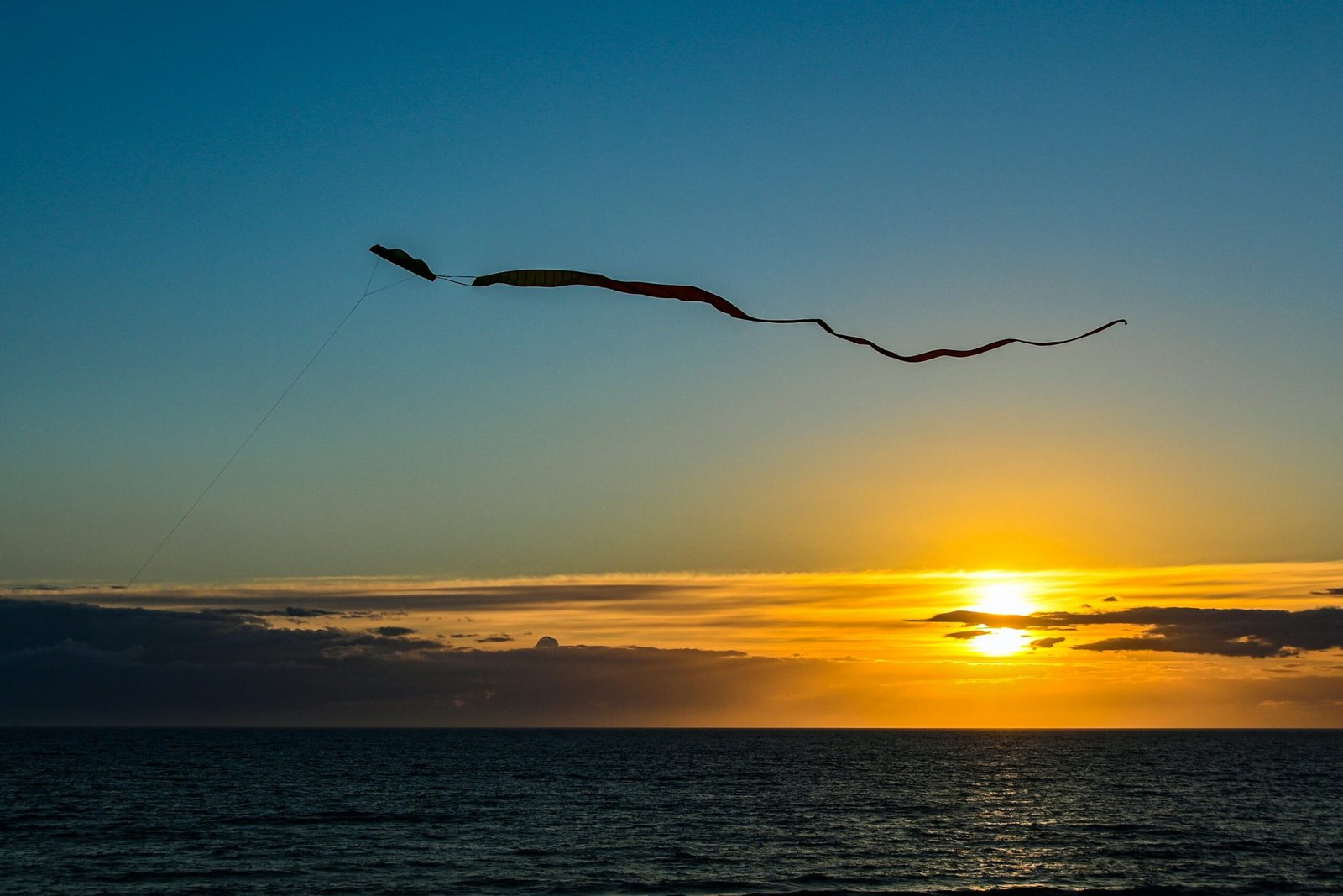 a bird flying over water